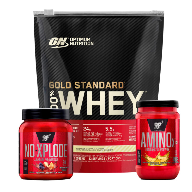 Gold Standard 22 serv + NO Xplode 30 serv + Amino X 30 serv